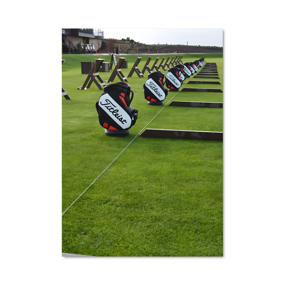 Poster Fairway Champions